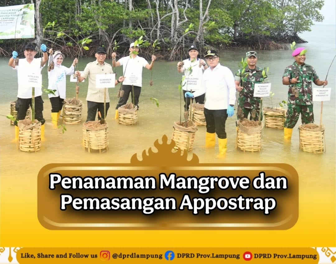Penananman Mangrove dan pemasangan Appostrap di Kabupaten Pesawaran